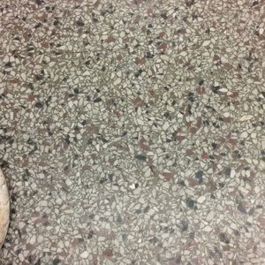 Meet your Posher, Shane